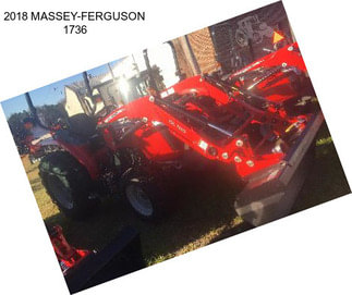 2018 MASSEY-FERGUSON 1736