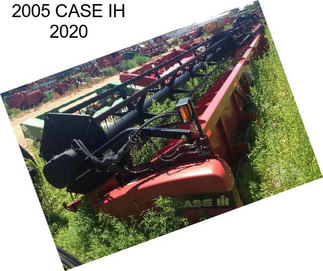 2005 CASE IH 2020