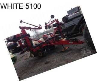 WHITE 5100