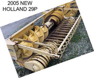 2005 NEW HOLLAND 29P