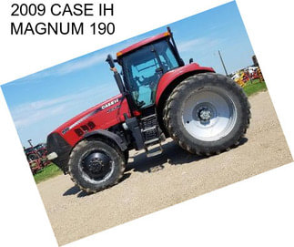 2009 CASE IH MAGNUM 190