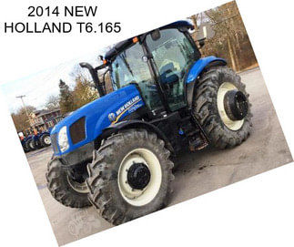 2014 NEW HOLLAND T6.165