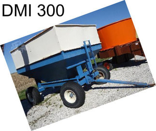 DMI 300