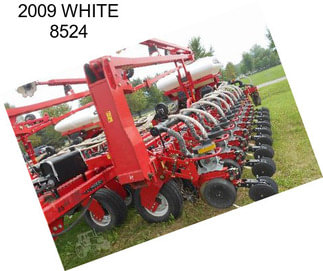 2009 WHITE 8524