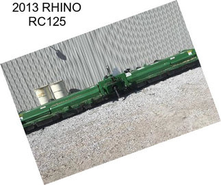 2013 RHINO RC125