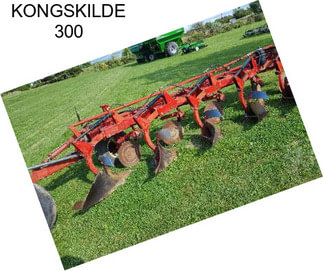 KONGSKILDE 300