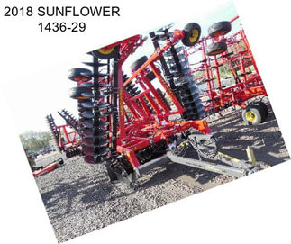 2018 SUNFLOWER 1436-29