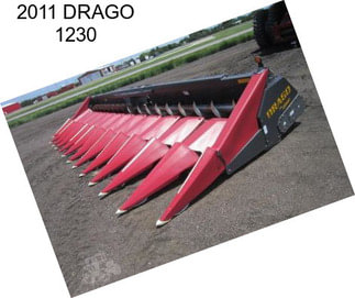 2011 DRAGO 1230