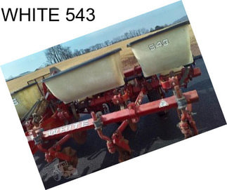 WHITE 543