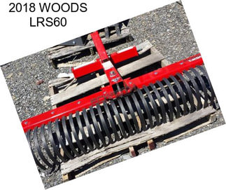 2018 WOODS LRS60