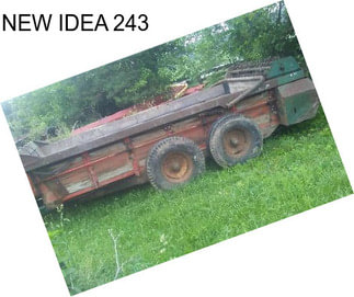 NEW IDEA 243