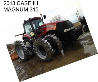 2013 CASE IH MAGNUM 315