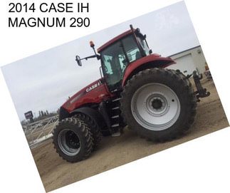 2014 CASE IH MAGNUM 290