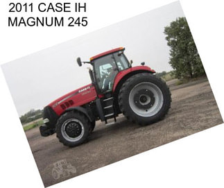 2011 CASE IH MAGNUM 245