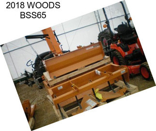 2018 WOODS BSS65