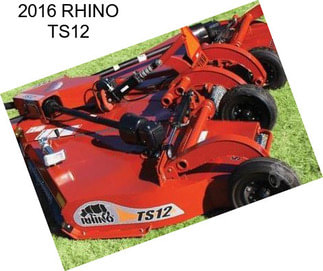 2016 RHINO TS12