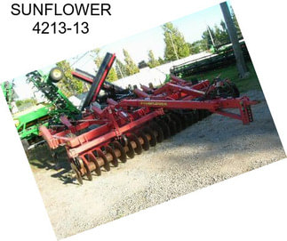 SUNFLOWER 4213-13