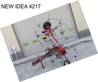 NEW IDEA 4217