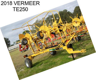 2018 VERMEER TE250