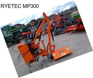 RYETEC MP300