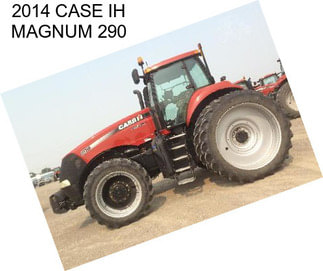 2014 CASE IH MAGNUM 290