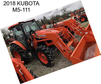 2018 KUBOTA M5-111