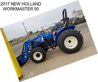 2017 NEW HOLLAND WORKMASTER 50