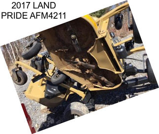 2017 LAND PRIDE AFM4211