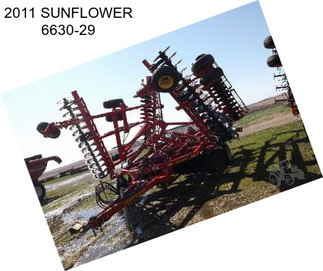 2011 SUNFLOWER 6630-29