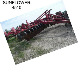 SUNFLOWER 4510