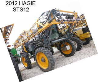 2012 HAGIE STS12