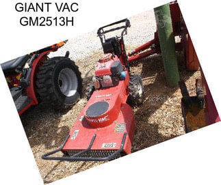 GIANT VAC GM2513H