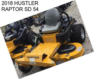 2018 HUSTLER RAPTOR SD 54