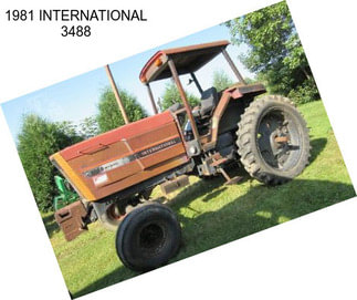 1981 INTERNATIONAL 3488