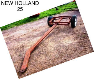 NEW HOLLAND 25