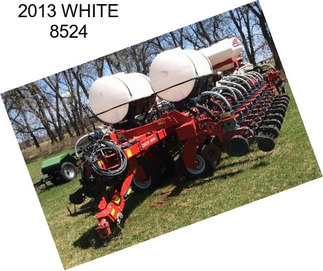 2013 WHITE 8524