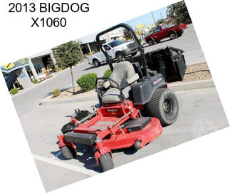 2013 BIGDOG X1060
