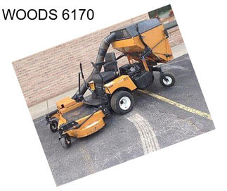 WOODS 6170