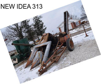 NEW IDEA 313