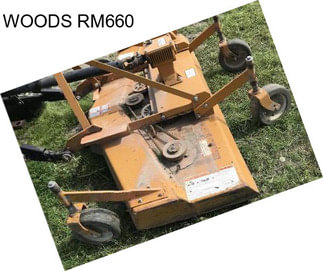 WOODS RM660