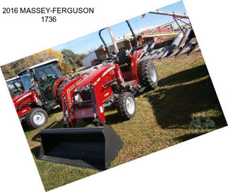 2016 MASSEY-FERGUSON 1736