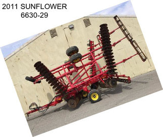 2011 SUNFLOWER 6630-29