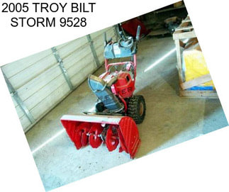 2005 TROY BILT STORM 9528