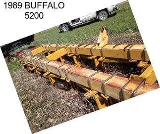 1989 BUFFALO 5200