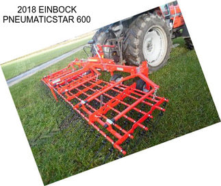 2018 EINBOCK PNEUMATICSTAR 600