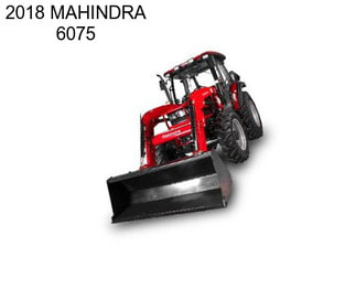 2018 MAHINDRA 6075