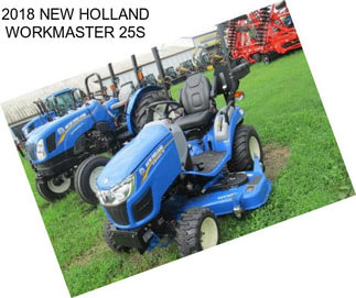 2018 NEW HOLLAND WORKMASTER 25S