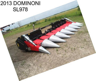 2013 DOMINONI SL978