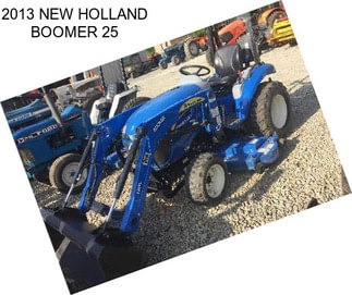 2013 NEW HOLLAND BOOMER 25