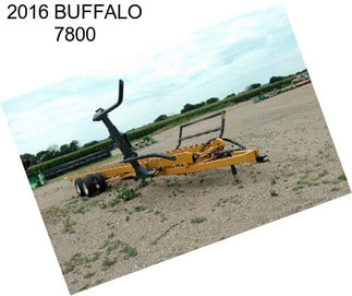 2016 BUFFALO 7800